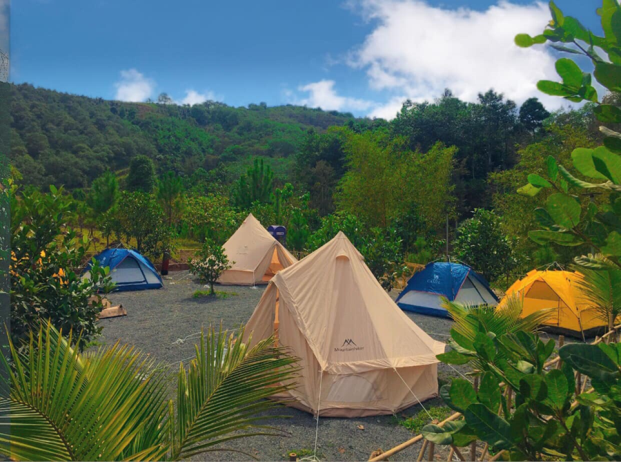 Farmstay Đại Thành Công